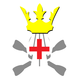 NivardoX's emblem