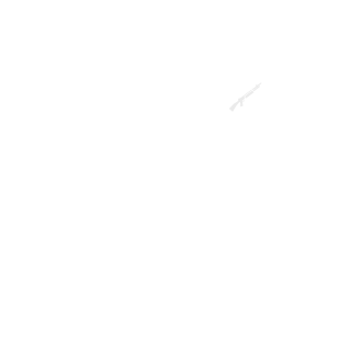 Tyapkin-Lyapkin's emblem