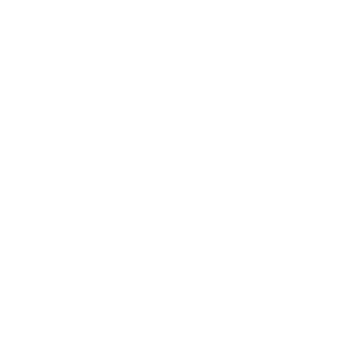 1st1113's emblem