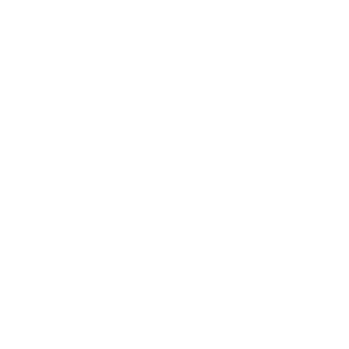 NooBDome's emblem