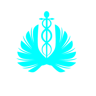 justLetsGOO's emblem
