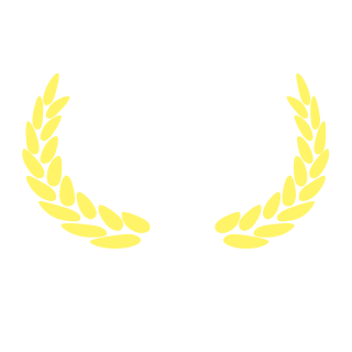 ddnrtx's emblem