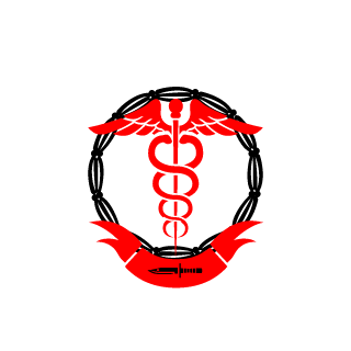 SiniStrDeath19's emblem