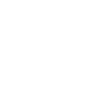 FGC-Berbsch's emblem