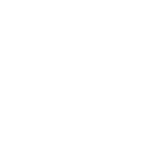 s11 LUCKY's emblem
