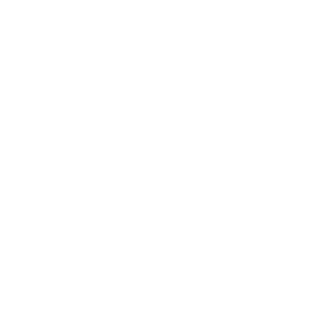FANATIK163's emblem