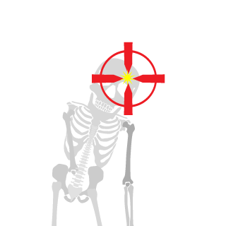 DJrainbizzles's emblem