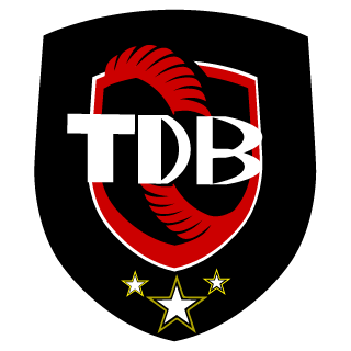 THE DRAGONS BRASIL's emblem