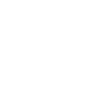 5ec981b395700381's emblem