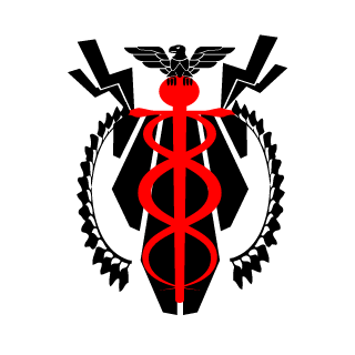 skullfracture15's emblem