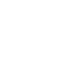 wizz4d's emblem