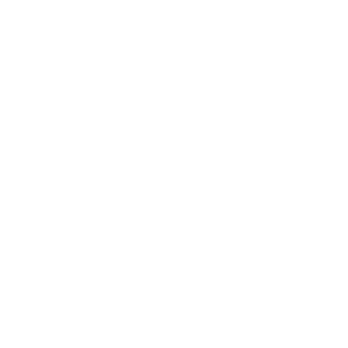iAmBot69's emblem