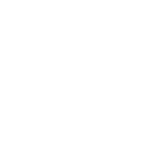 FF-Opel's emblem
