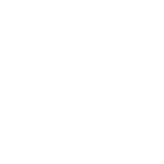 ve6ster's emblem