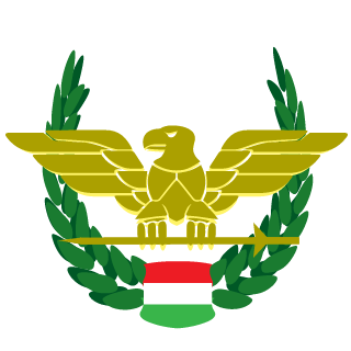 Skysign's emblem
