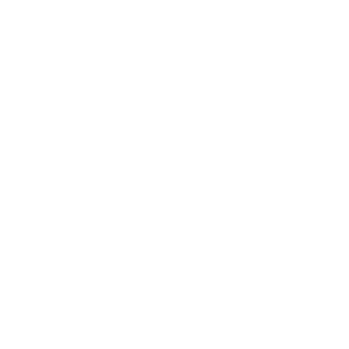 YourNansDirtBox's emblem