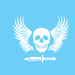 Battle Field Scrubs's emblem