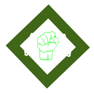 NovaStorm07's emblem