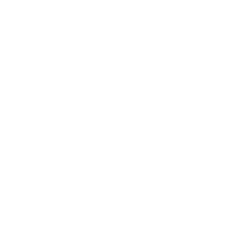 valet5551's emblem