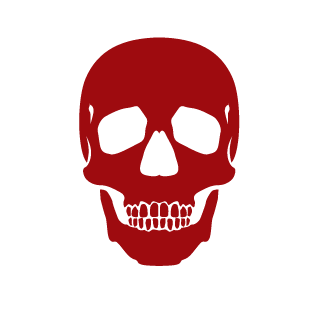 CZWRAID's emblem