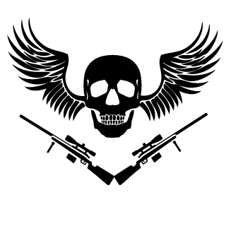 RPZcool's emblem