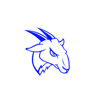 SpaceXGam3r's emblem