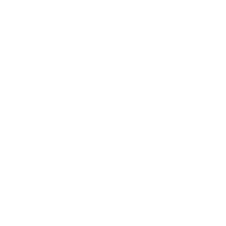 SK6-JPN's emblem