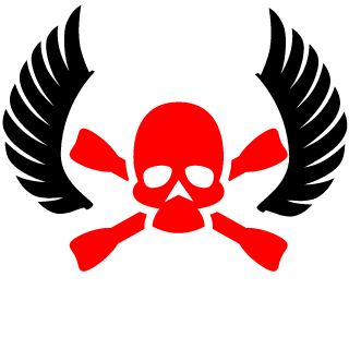 PlasmaWipeout's emblem