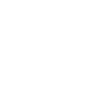 18_SlamDunker_36's emblem