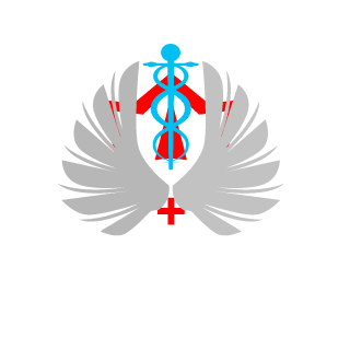 Soul_CleaverX's emblem