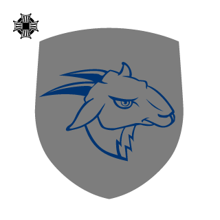 siggisiggi123's emblem