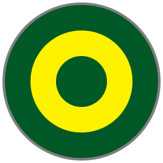 A3RO FORC3 F22's emblem