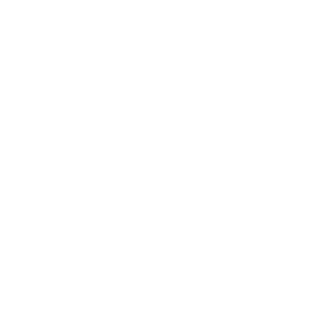 BAVerify-3805's emblem