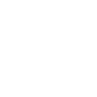 Metal-01-Alpha's emblem