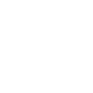 FLy20142015's emblem