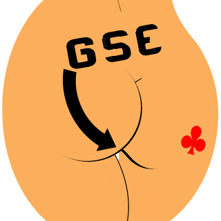 Saftgurke51's emblem