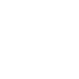 erick_1991's emblem