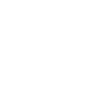 -SAC-code_sirius's emblem