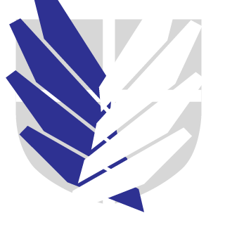 Battlefieldier's emblem