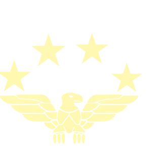 riemola76's emblem