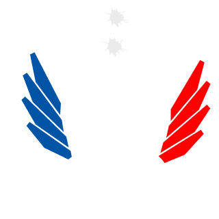 Biiiiiim's emblem