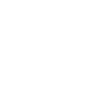 DukeLeeto's emblem