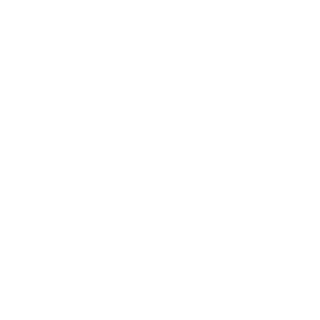 X0Thunder0X's emblem