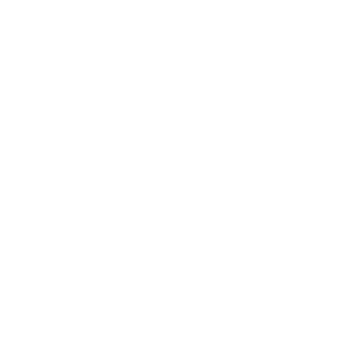 Nylsch-1864's emblem