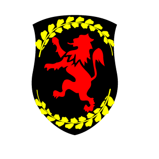 SilentGhost9307's emblem