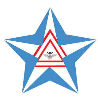 VideoGamerOne1's emblem