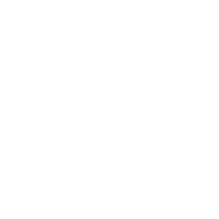 BidGamer BR's emblem