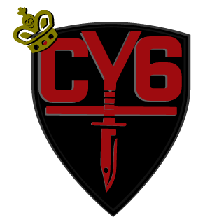 Check Your Six's emblem