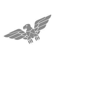 d4592b4bcf41b028's emblem