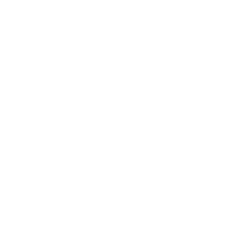 dpRmeister's emblem